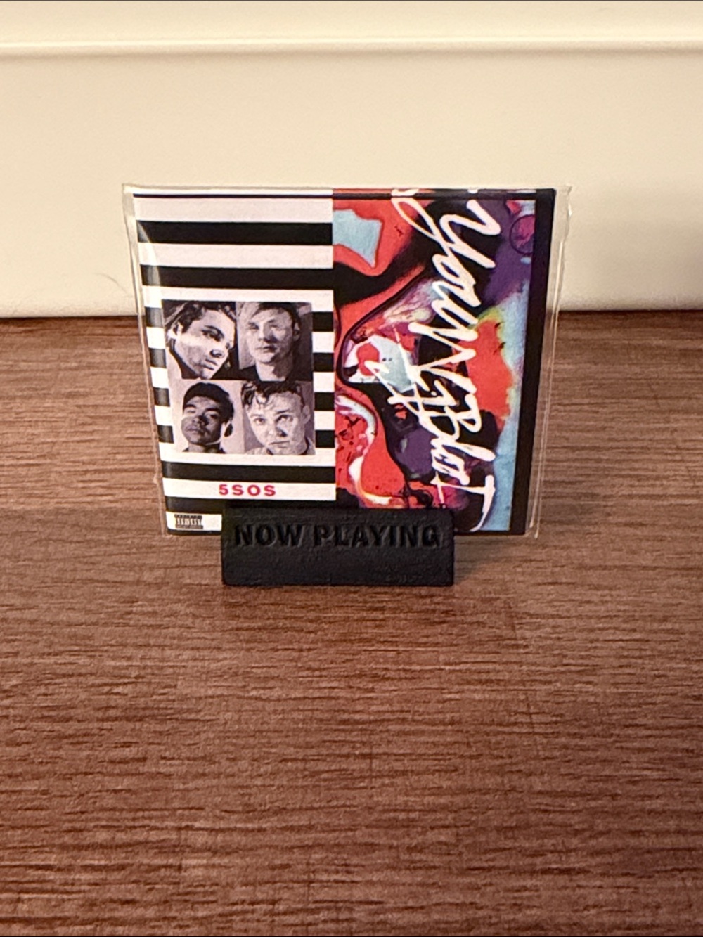 Mini Brand Vinyl: 5 Seconds of Summer